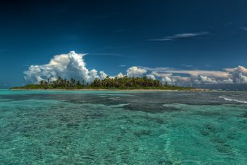 Isla Contoy - Excursiones en la Riviera Maya