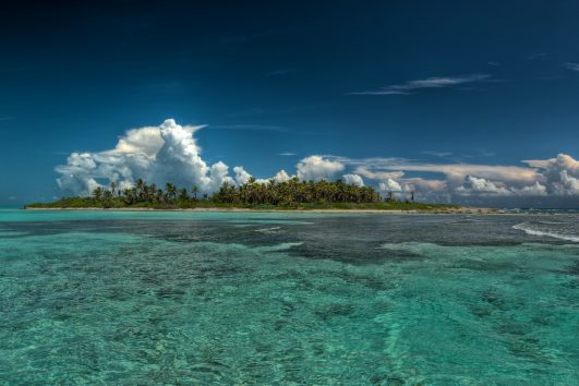 Isla Contoy - Excursiones en la Riviera Maya
