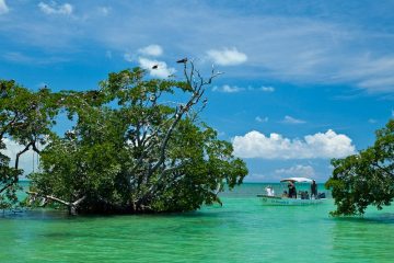 Sian Kaan - Excursiones en la Riviera Maya